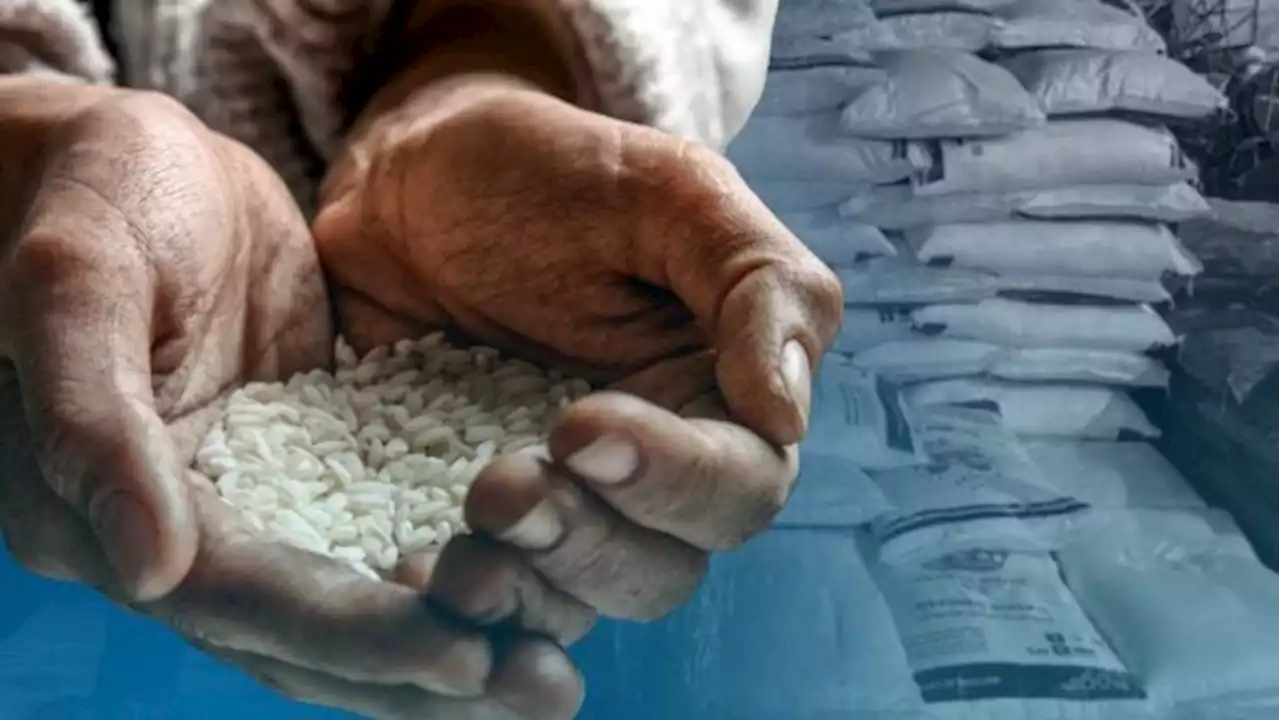 Keeping PH fed: More rice imports loom but at higher costs