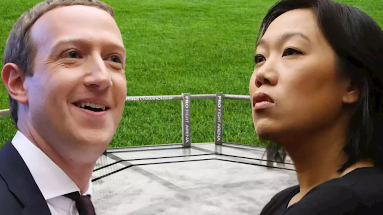 Mark Zuckerberg’s wife upset after he built backyard octagon for Elon Musk UFC fight