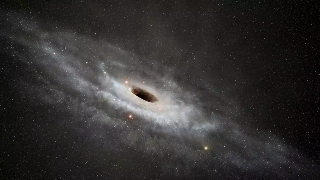 What black hole mergers sound like and why It matters