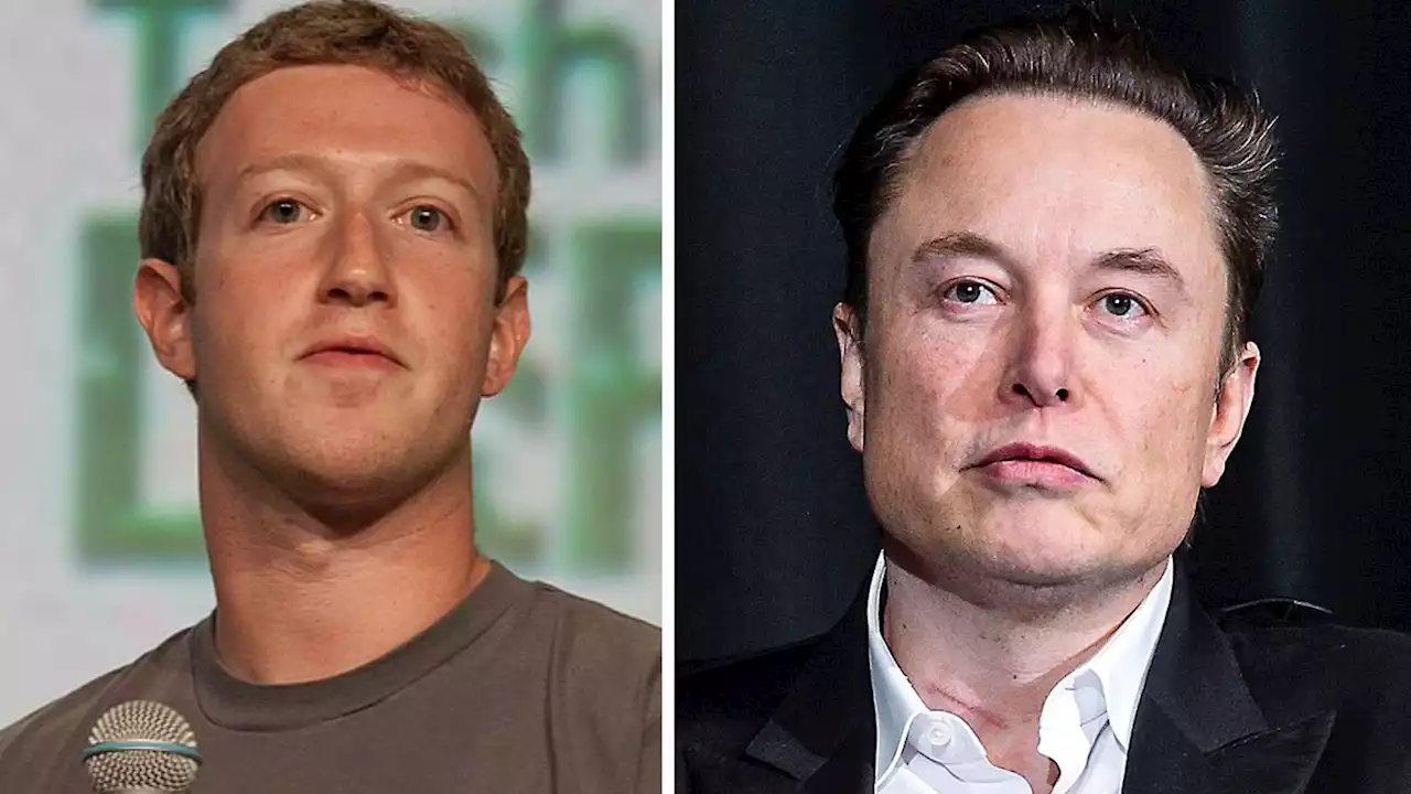 Zuckerberg ready for cage fight but Musk isn't committing