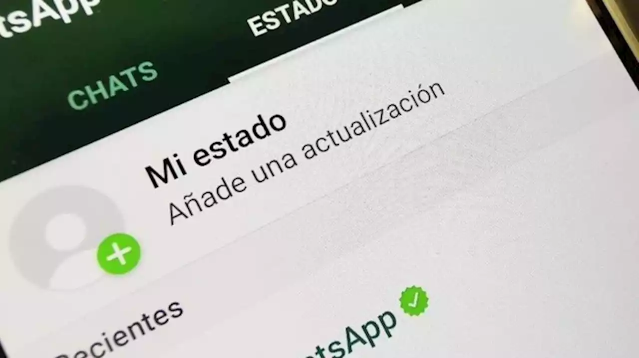 WhatsApp: cómo hago para que no me vean en línea