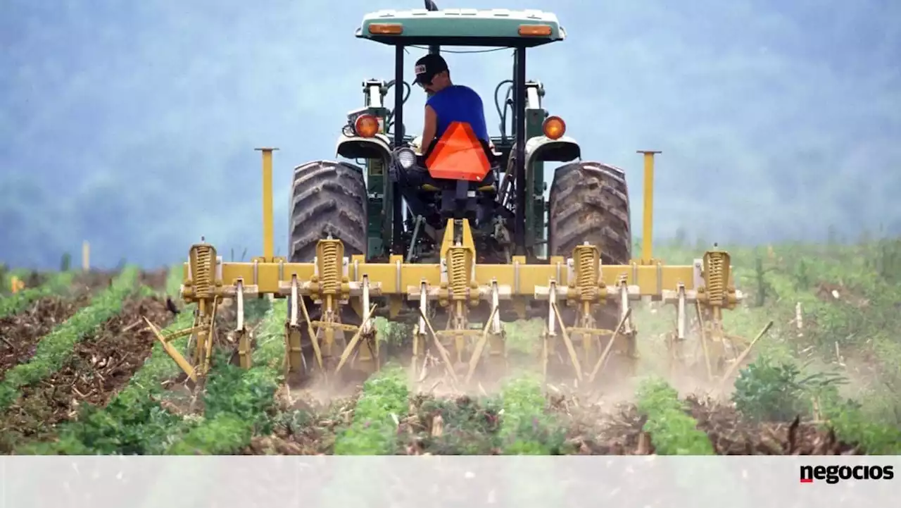 Estatuto da Agricultura Familiar: Cinco anos depois, das restrições a medidas pontuais