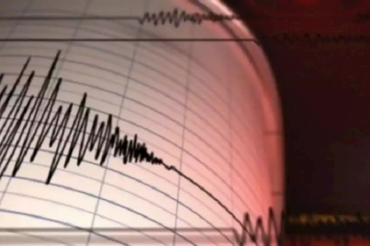 Gempa M 4,6 Mengguncang Pulau Panjang NTB