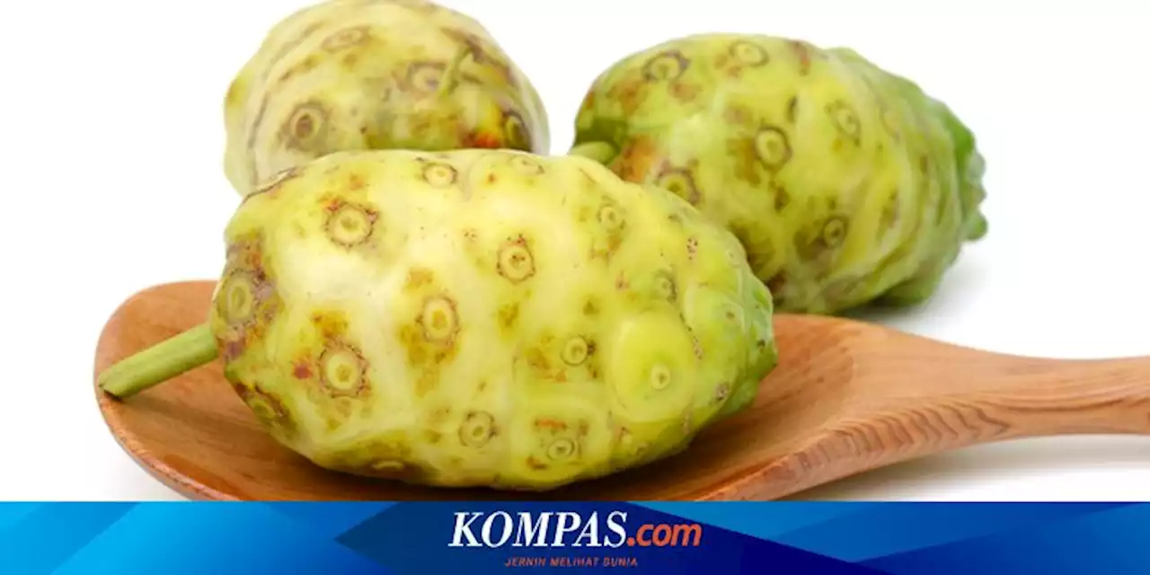 Petik Manfaat Buah Mengkudu untuk Menurunkan Tekanan Darah Tinggi