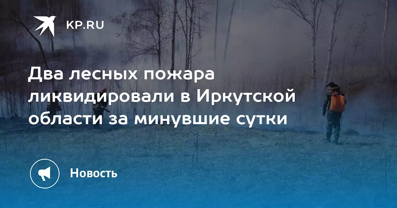 Два лесных пожара ликвидировали в Иркутской области за минувшие сутки