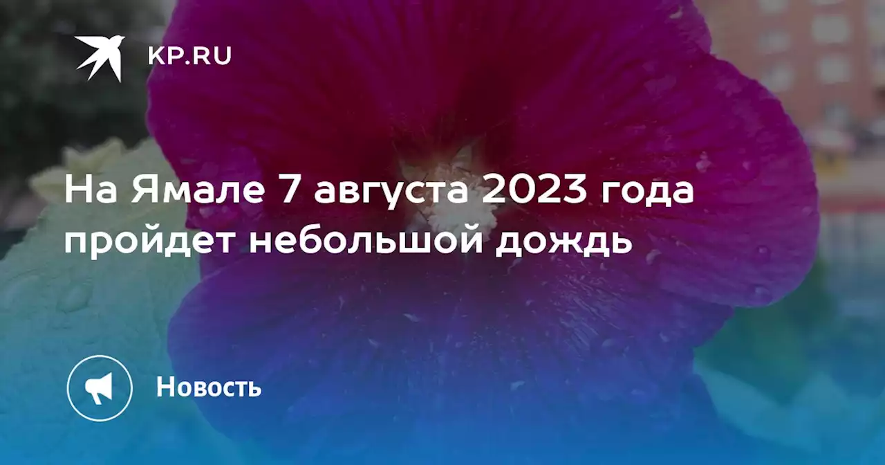 На Ямале 7 августа 2023 года пройдет небольшой дождь