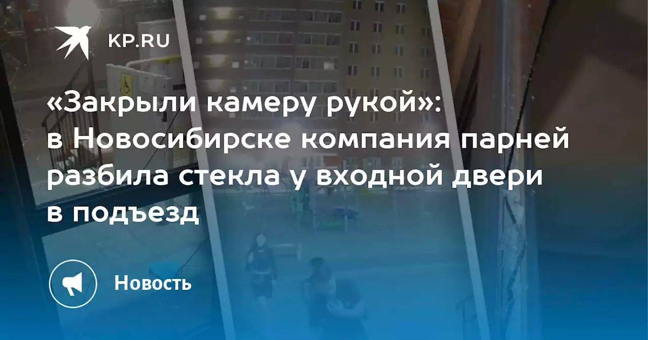 «Закрыли камеру рукой»: в Новосибирске компания парней разбила стекла у входной двери в подъезд