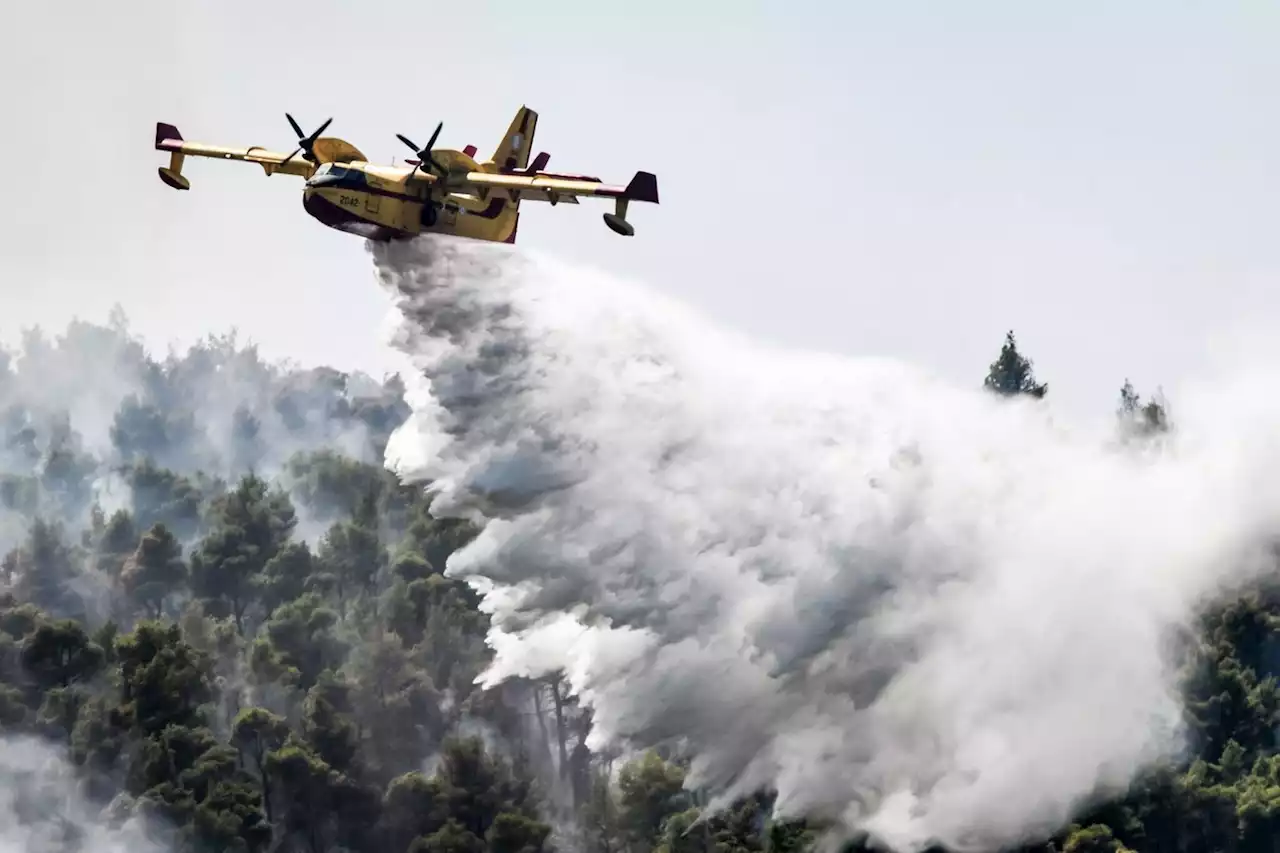 Le canadair, bête de somme de la lutte contre les feux