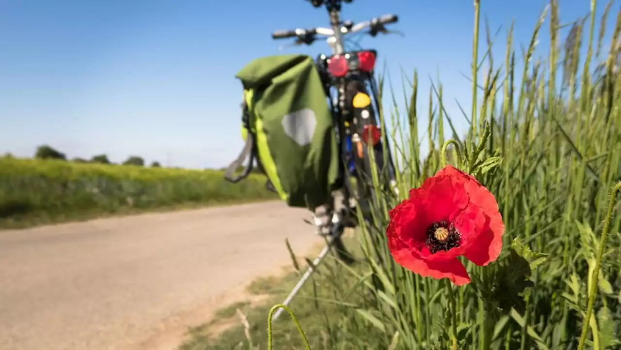 Un défilé de cyclistes nus interdit à Nantes : une douzaine de personnes présentes et plusieurs interpellations