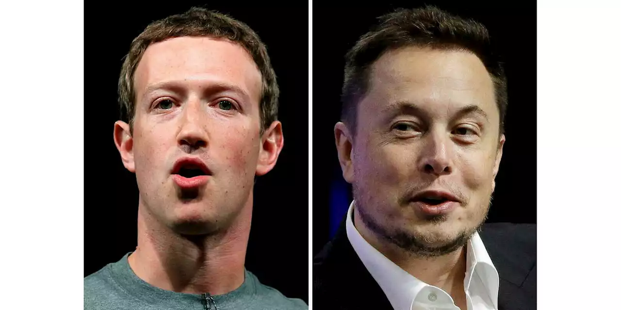 Le combat entre Musk et Zuckerberg pourrait se tenir le 26 août