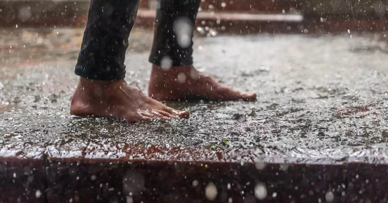 L’érotisme de la plante des pieds