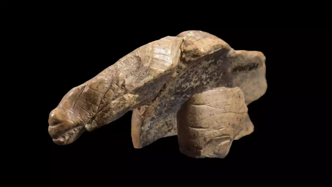 Missing 'body' of ice age animal carving finally found — but nobody knows what the animal is