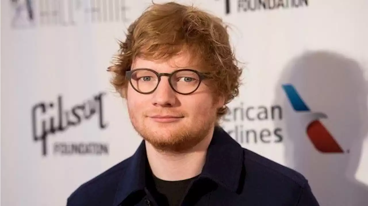 Ed Sheeran Did Fans' Gender Reveal for Them During a Recent Concert: 'It's Very Awesome'