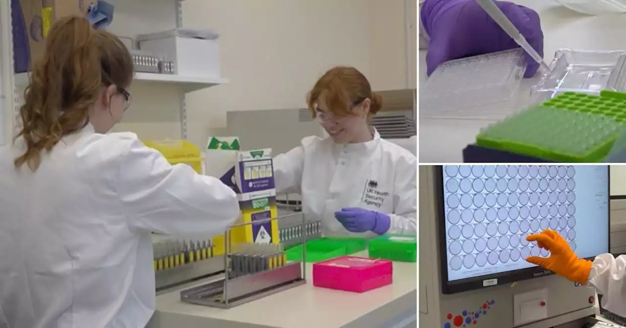 Unveiled: The new 'super lab' testing deadly viruses in a secretive UK location