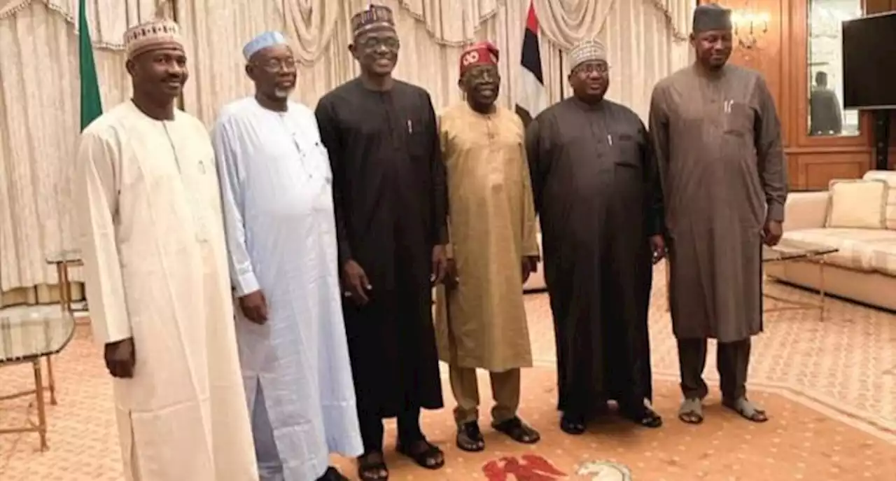 Coup: Tinubu meets governors sharing boundaries with Niger