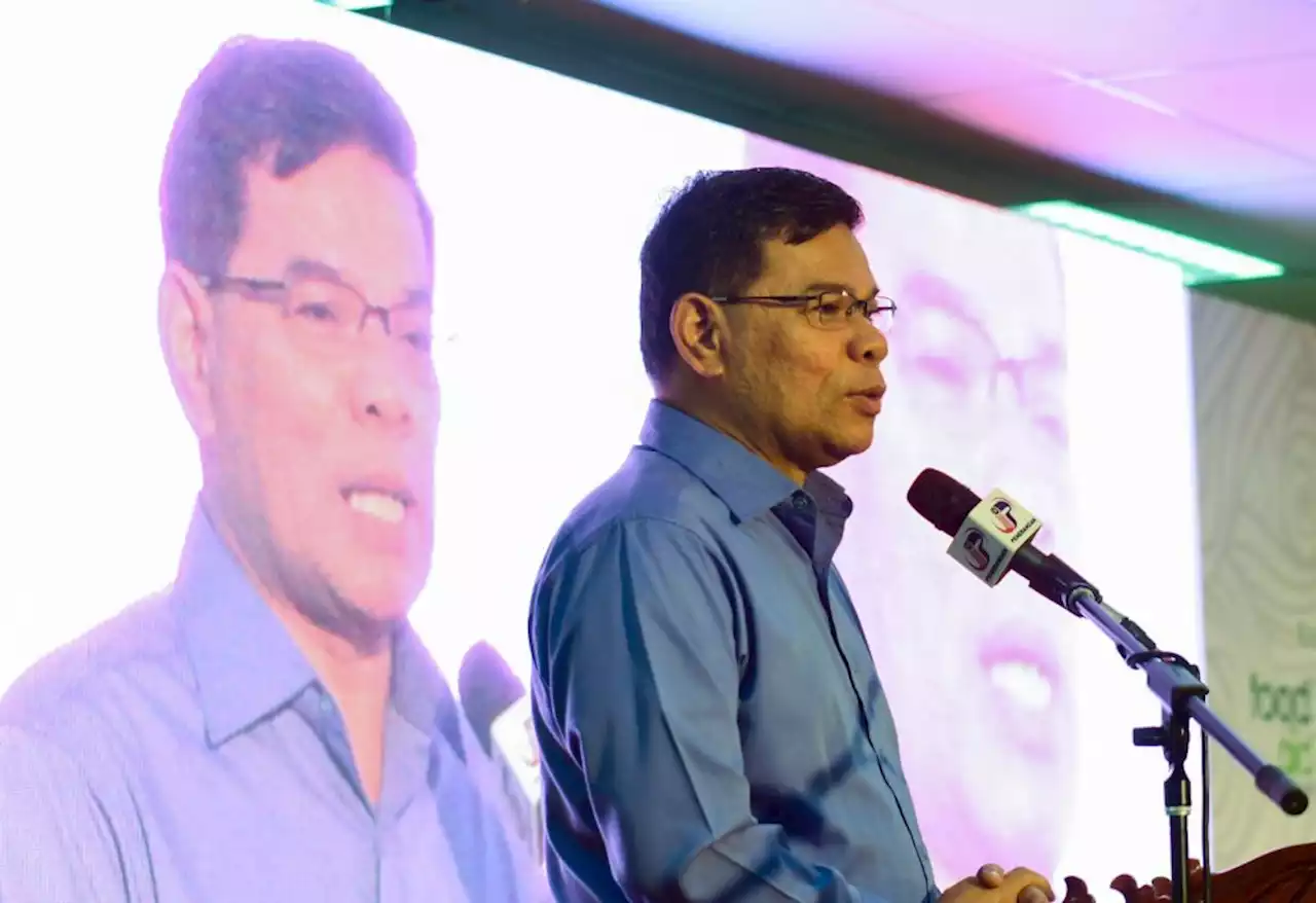 Pakatan-BN confident of securing 19 seats in Kedah, says Saifuddin | The Malaysian Insight