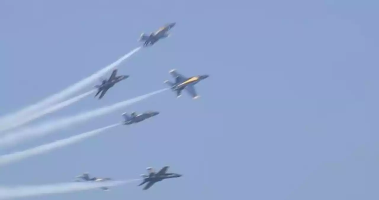 Environmental and Anti-Violence Groups Protest Blue Angels at Seafair