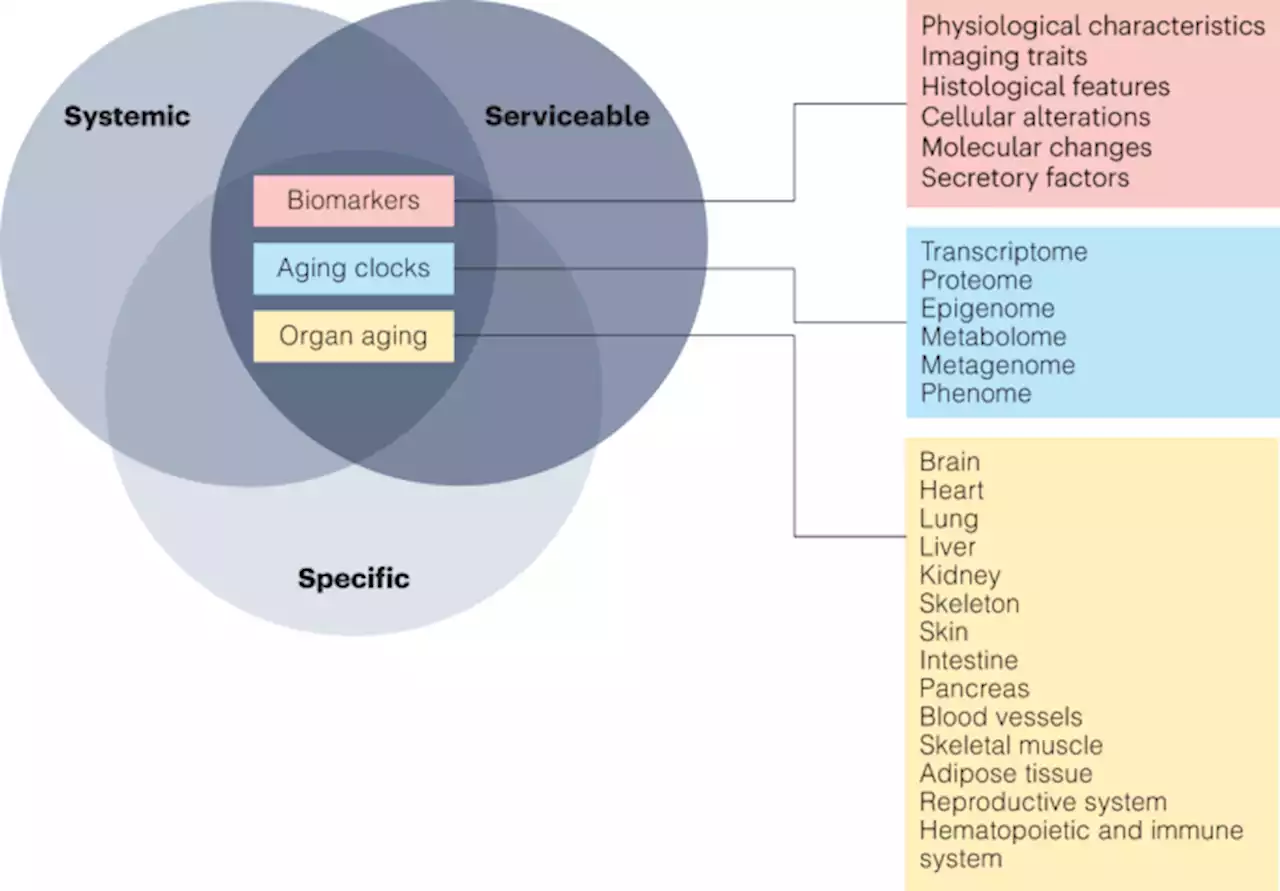 The Aging Biomarker Consortium represents a new era for aging research in China - Nature Medicine