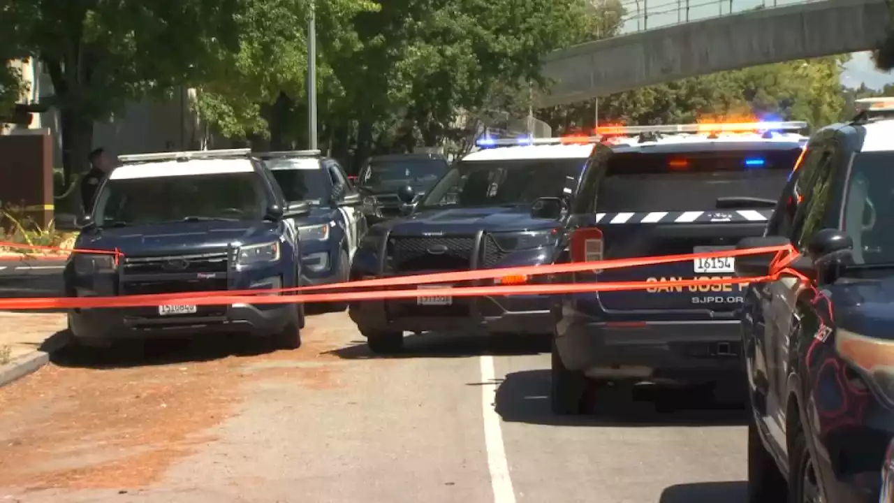 Boy and Great-Grandmother Found Dead in San Jose Home, Stabbed