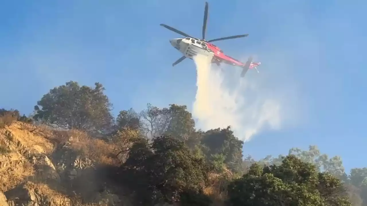 3-acre fire burns near LA Zoo in Griffith Park