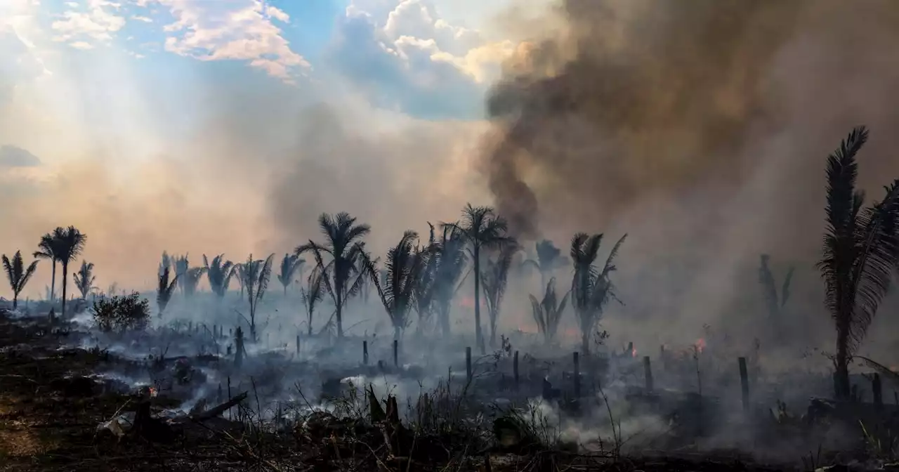 Divisions over drilling, deforestation expected at Amazon nations summit