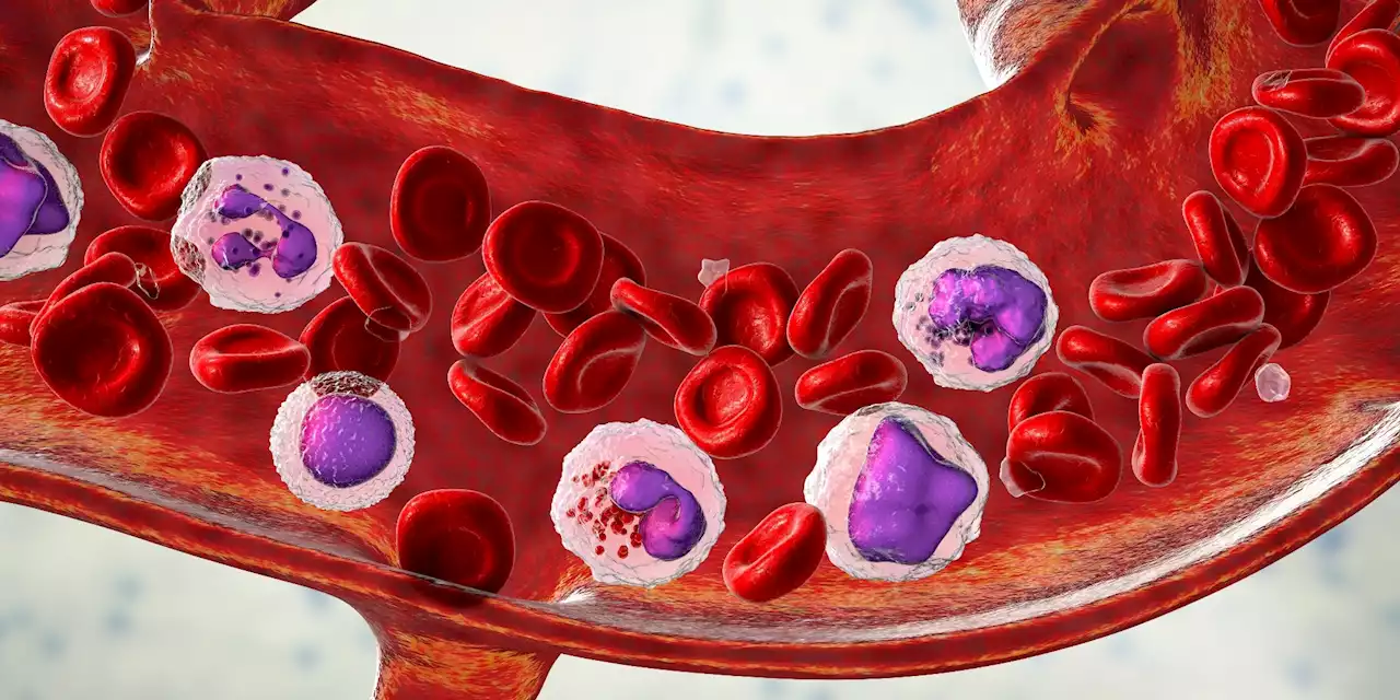 Role of M2 macrophage-derived exosomes in controlling neutrophil-mediated tissue injury in sepsis