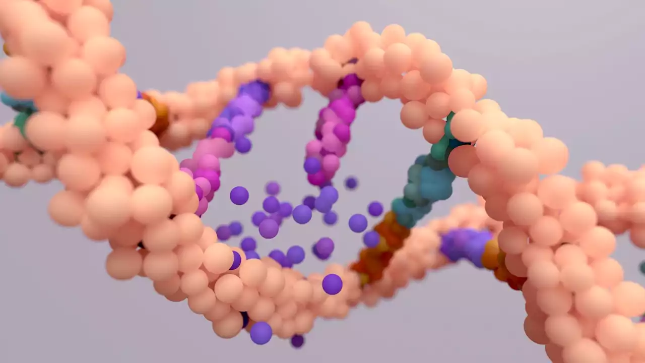 Similarities in gene expression between post-mortem and living human brains