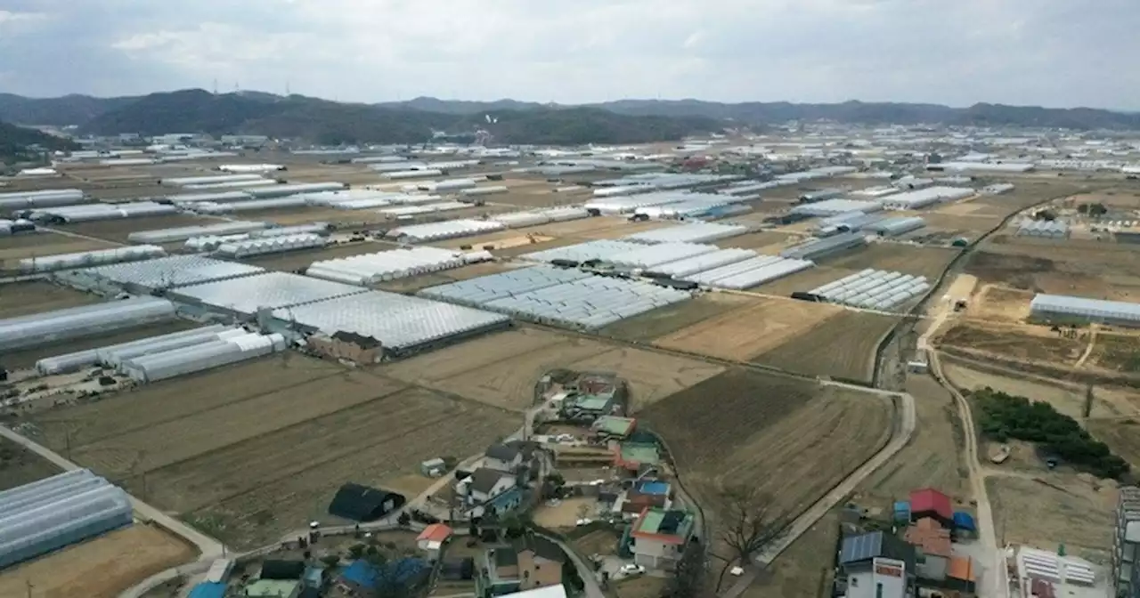 우격다짐·재생에너지 외면…용인 반도체 클러스터 ‘사상누각’ 되나