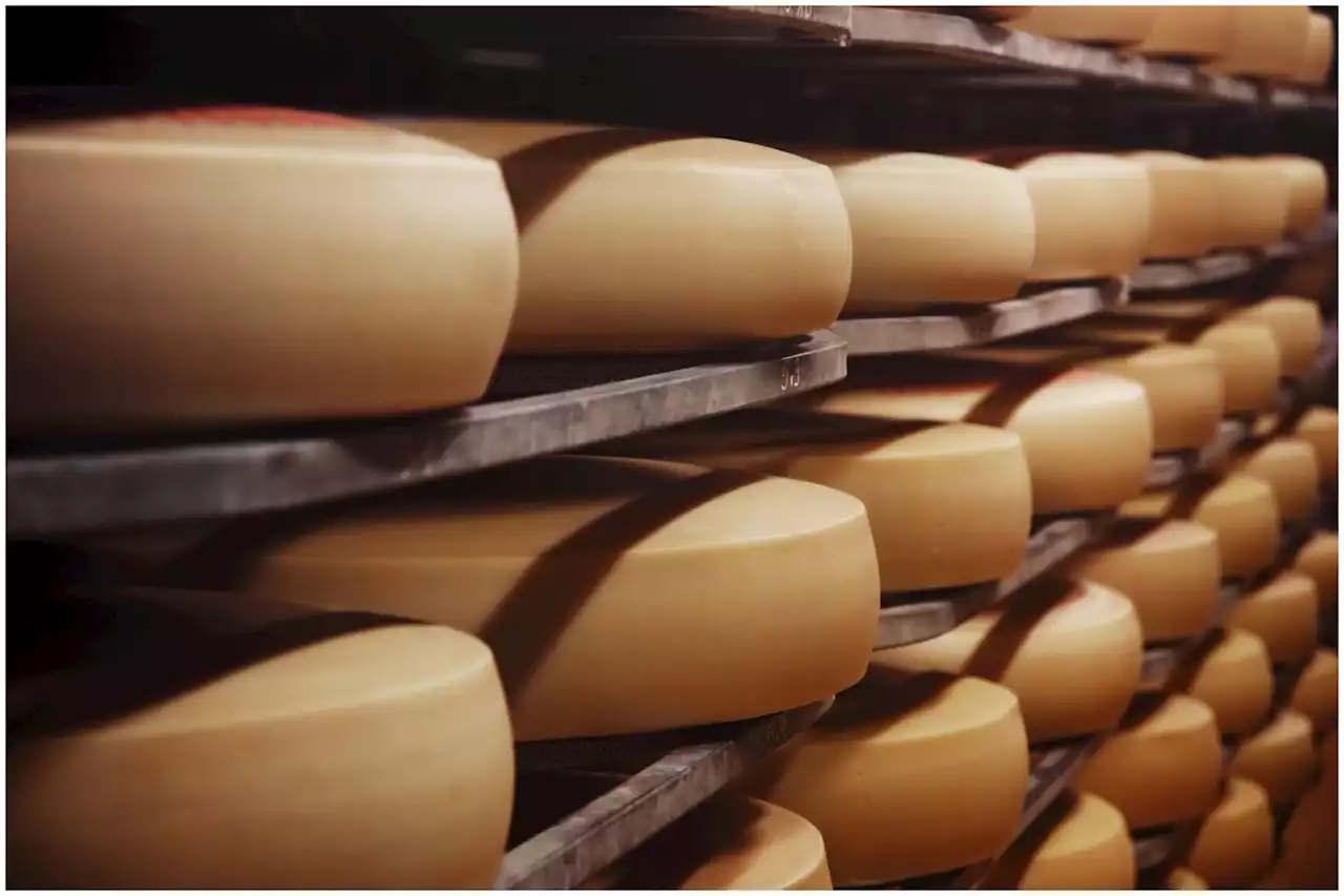 Elderly man crushed to death by thousands of wheels of cheese