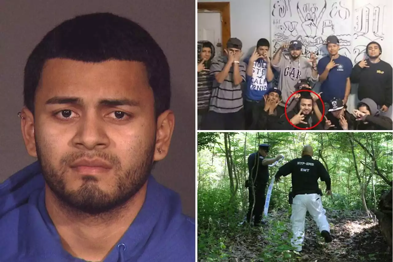 MS-13 Gang Boss Allegedly Ordered Murder of NY Teen