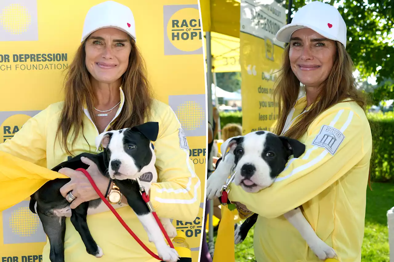 Brooke Shields chose new rescue pup because she has a ‘twisted tail’