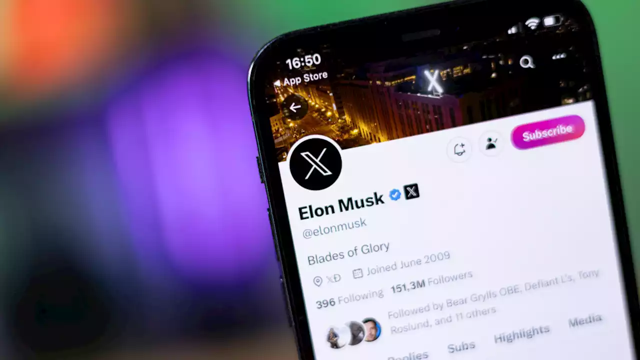 Musk plans to live-stream "Zuck vs Musk" on X, promises WWE-style showdown