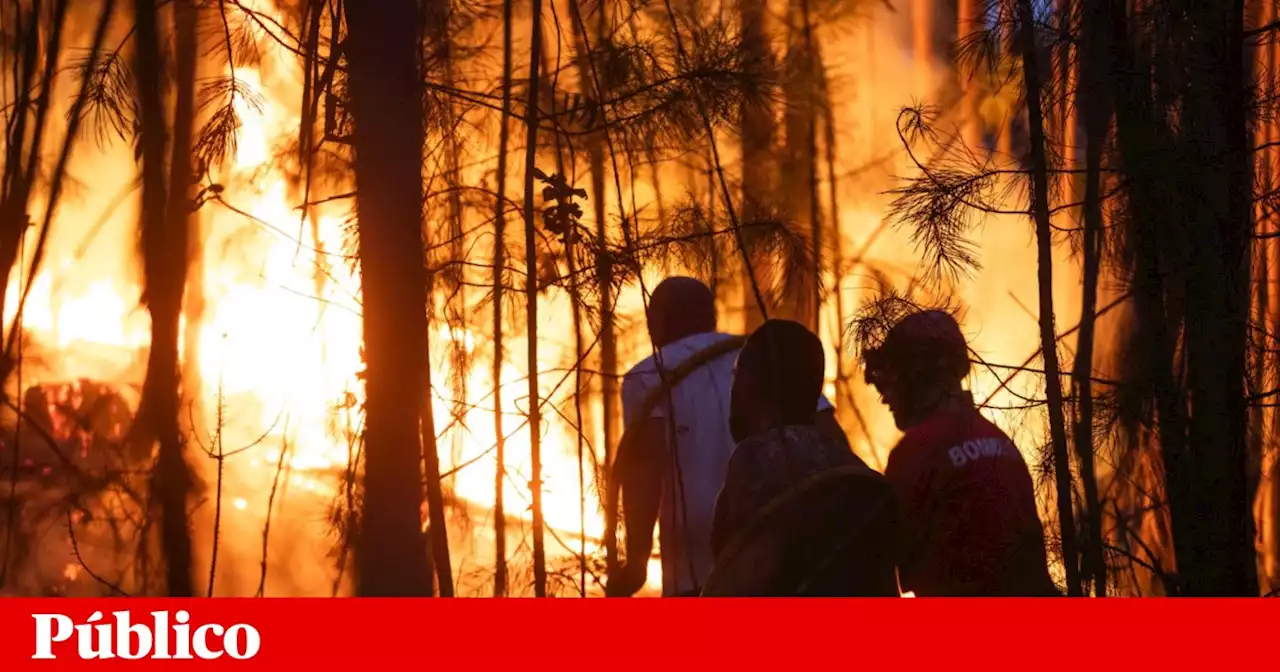 Incêndios: localidade de Óbidos evacuada devido a incêndio em Ourém