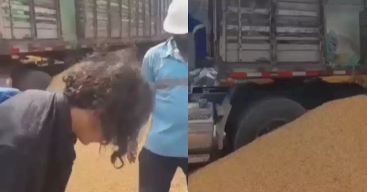 VIDEO: Polizón casi muere ahogado tras meterse a un camión cargado de maíz