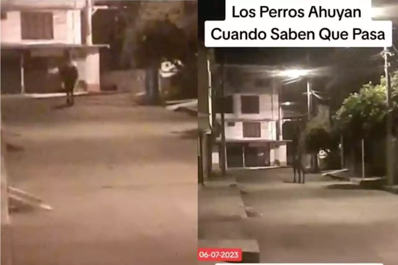 [Video] Caballo 'fantasma' pasa a medianoche y aterroriza vecinos de un barrio en Ibagué - Pulzo