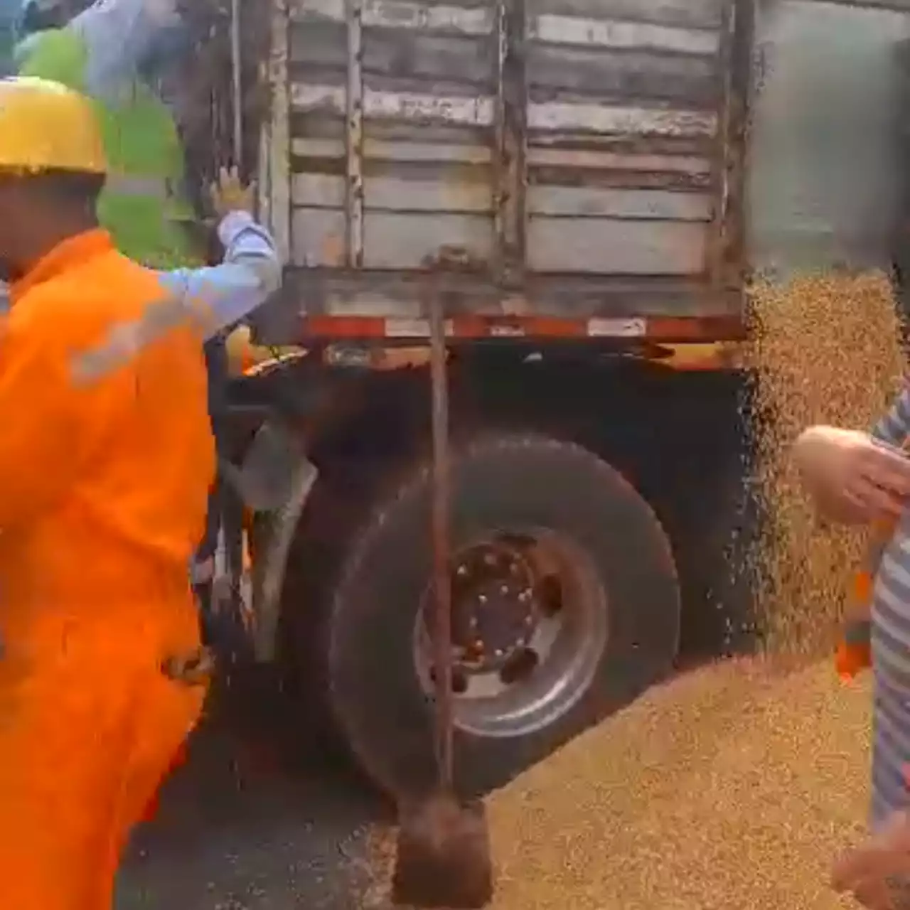 [Video] Polizón quedó atrapado en camión cargado de morir y casi muere ahogado - Pulzo