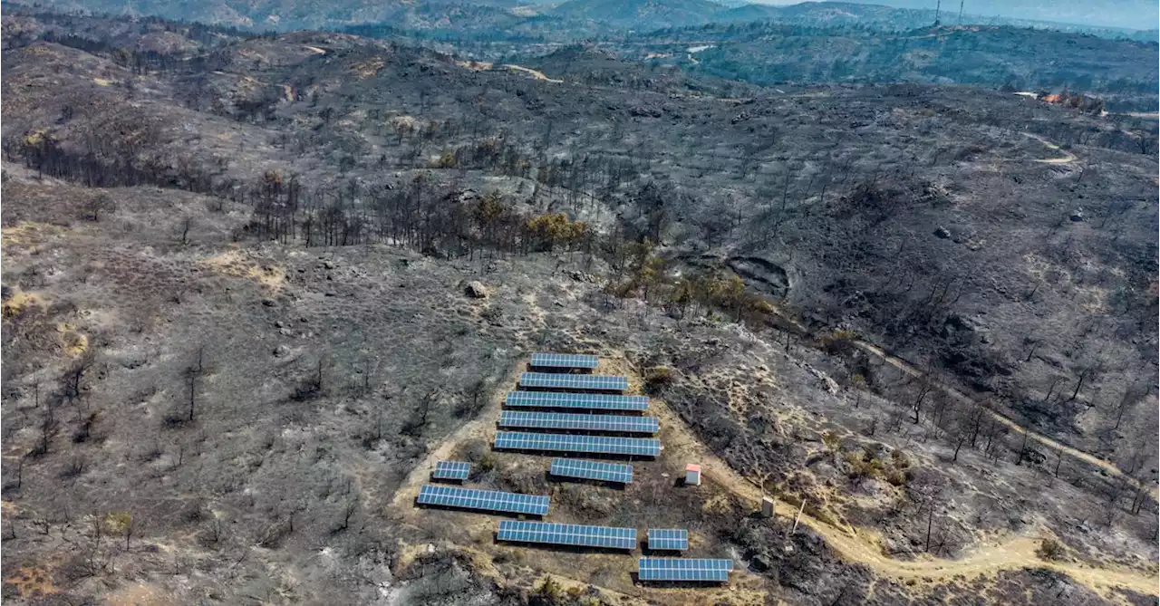 Solar power to the rescue as Europe's energy system weathers extreme heat