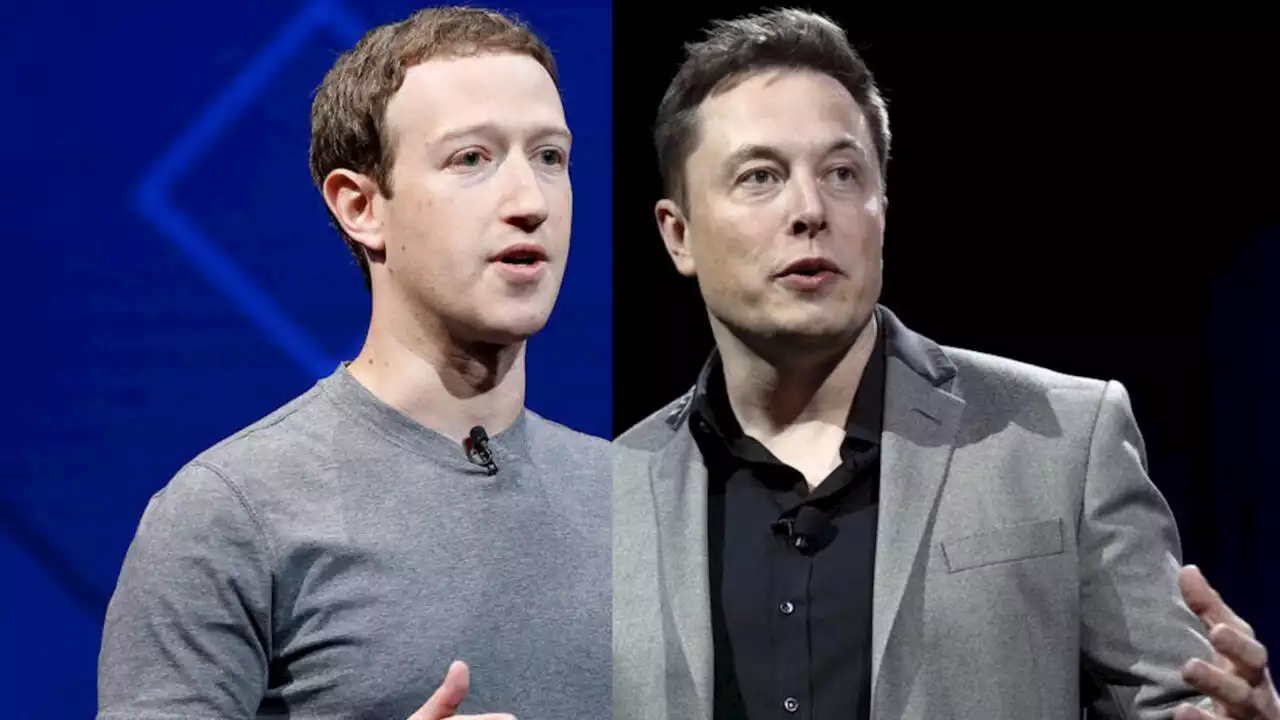 Elon Musk et Mark Zuckerberg vont s’affronter dans un combat d’arts martiaux