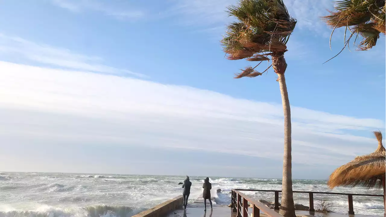 Monsterwellen: Lebensgefahr für Mallorca-Urlauber! Wetterdienst warnt vor Naturgewalt