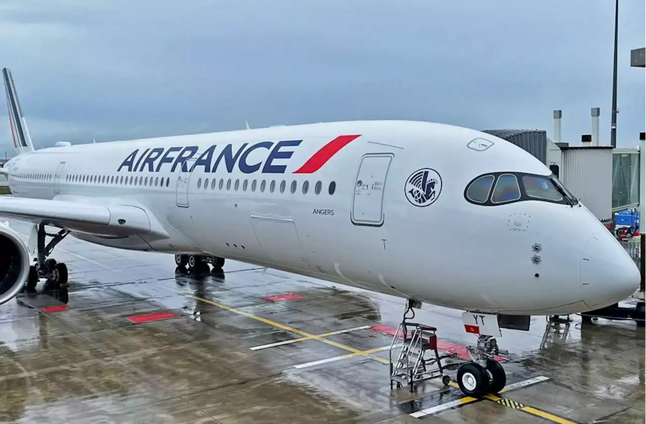 Air France Suspends Flights To Burkina Faso, Mali After Closure Of Niger Republic Airspace | Sahara Reporters