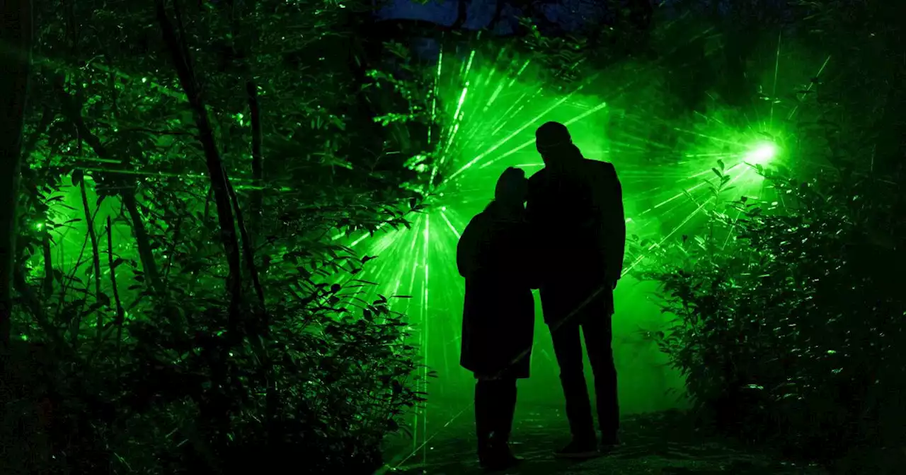 Lightscape attraction returns to San Diego Botanic Garden for the holiday season