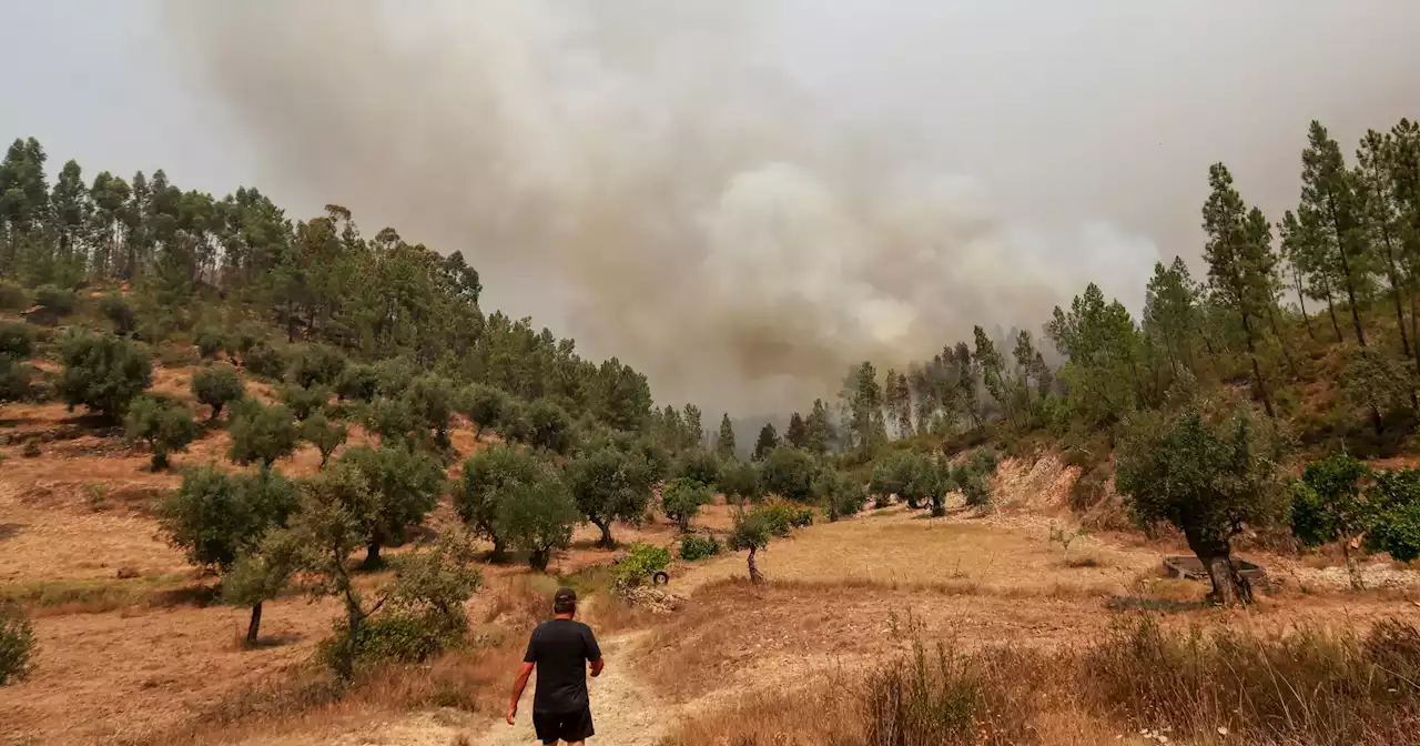 Incêndio em Castelo Branco e Proença-a-Nova destruiu mais de 7.000 hectares