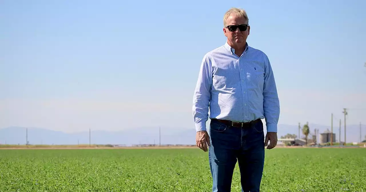 Getting Colorado River water from California farms will take more than just money – just ask the farmers