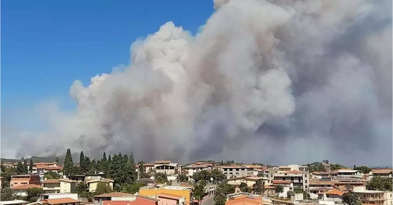 Incendi in Sardegna, la conta dei danni tra aziende agricole e attività turistiche