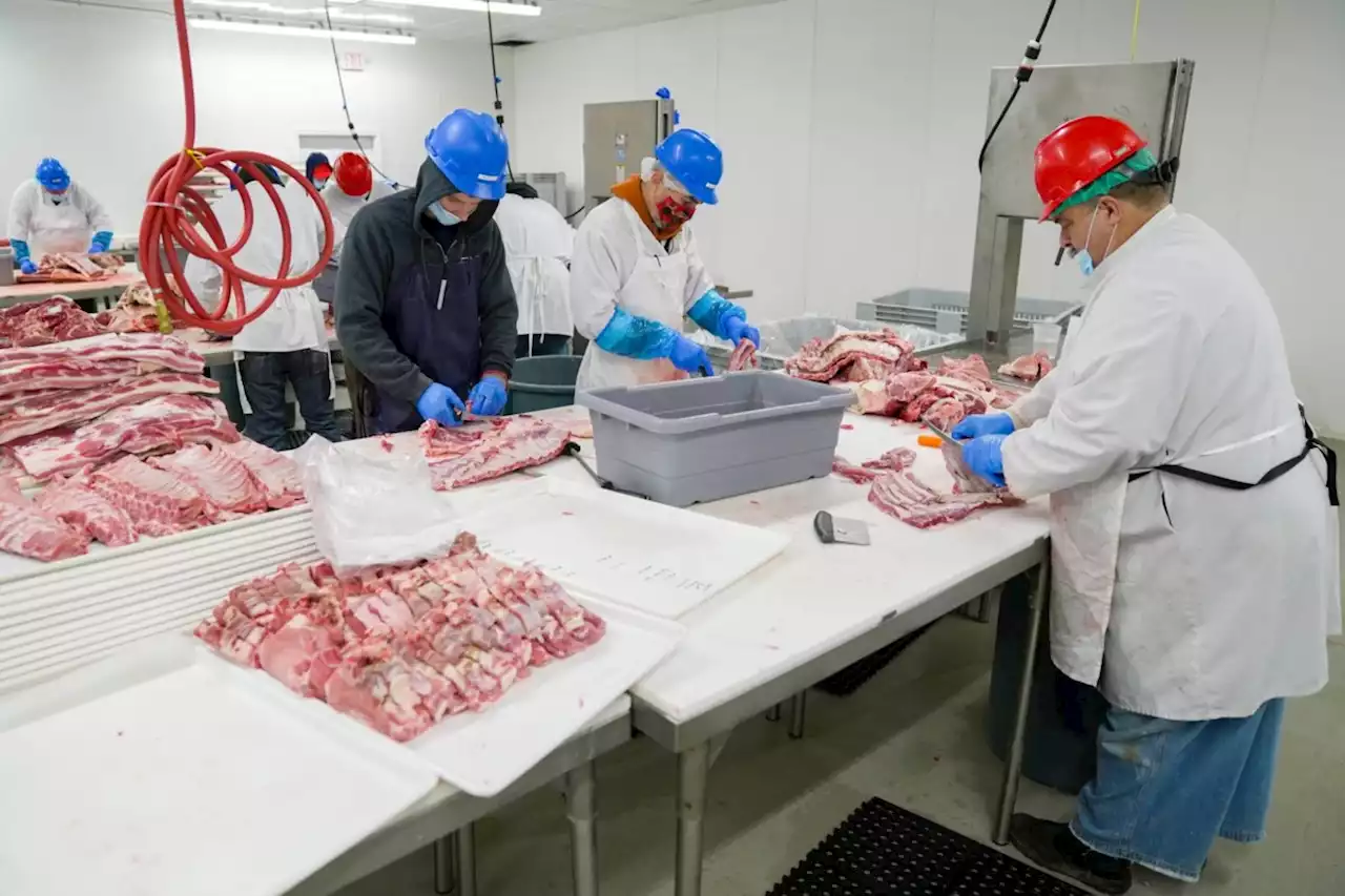 Northern meat producers struggling to find workers