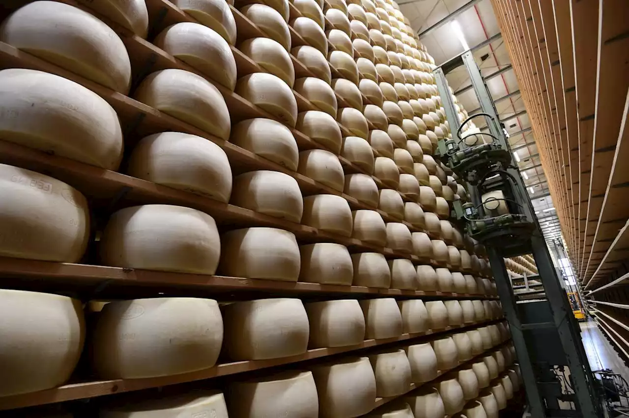 Un Italien meurt écrasé sous des meules de fromages