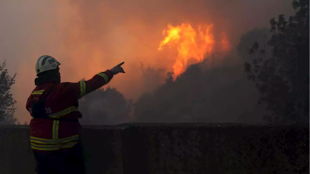 Waldbrände in Portugal und Spanien: Tausende Hektar Land in Gefahr – Hunderte Feuerwehrleute im Einsatz