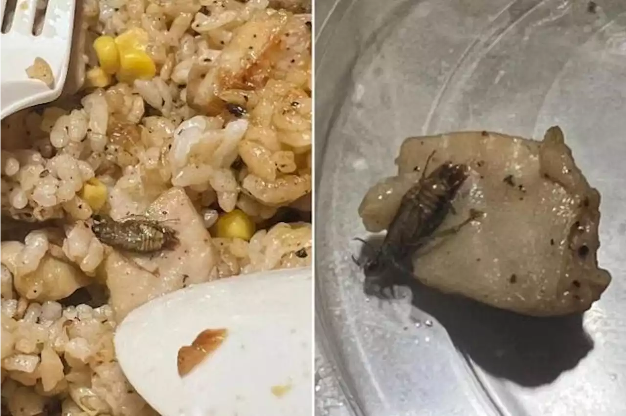 Man finds cockroach in Pepper Lunch meal ordered online