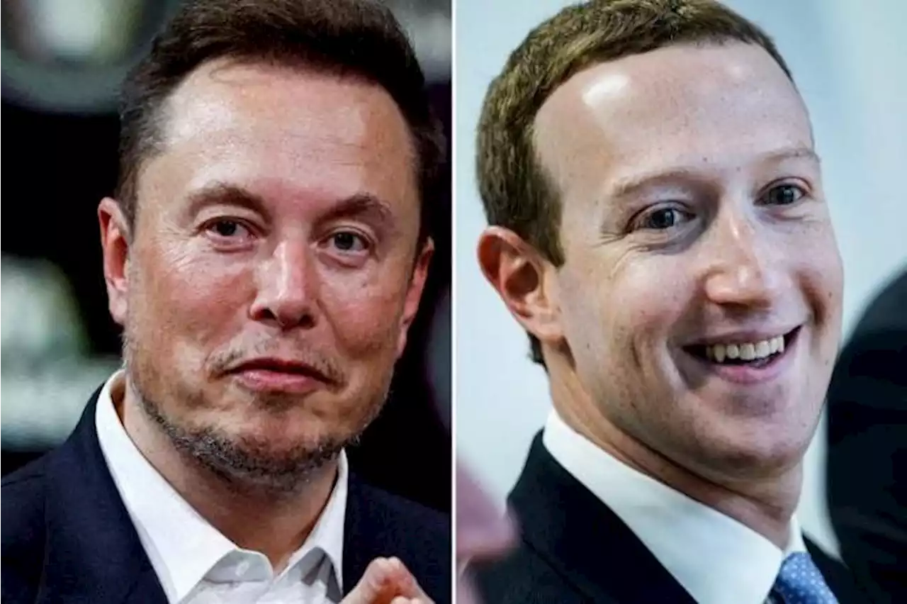 Musk says fight with Zuckerberg to be live-streamed on X