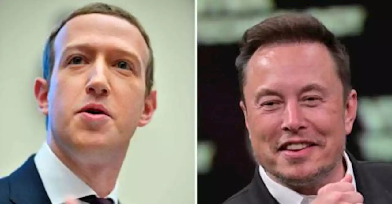 Musk says his cage fight with Zuckerberg will stream on X